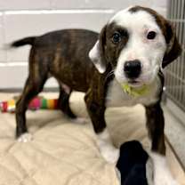 Thumbnail photo of Ebenezer Scrooge #1