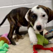 Thumbnail photo of Ebenezer Scrooge #2