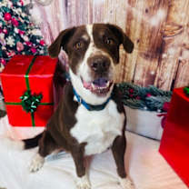 Thumbnail photo of Barney #2