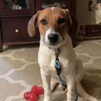 Thumbnail photo of Fin #1