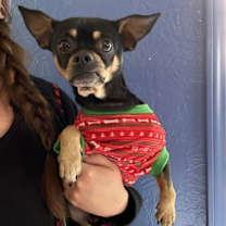 Thumbnail photo of Ray-Ray #1