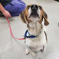 Thumbnail photo of Hunter #2