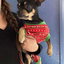 Thumbnail photo of Ray-Ray #3