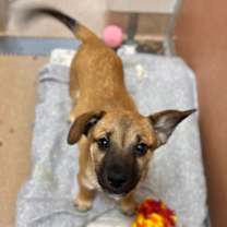 Thumbnail photo of Charlie #2