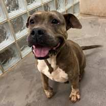 Thumbnail photo of Heidi #2