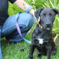 Thumbnail photo of Chance #2