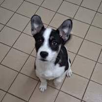 Thumbnail photo of Selena #2