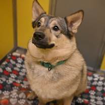 Thumbnail photo of Iroh #3