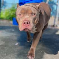 Thumbnail photo of Fiona #1