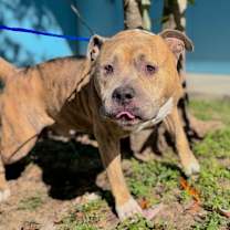 Thumbnail photo of Mio #1