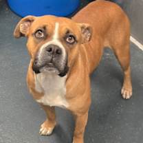 Thumbnail photo of 59978486 #1