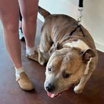 Thumbnail photo of Mio #2