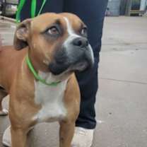 Thumbnail photo of 59978486 #2