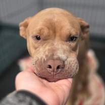 Thumbnail photo of 59978500 #2