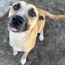 Thumbnail photo of Luna #2