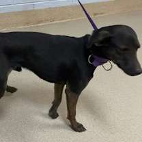 Thumbnail photo of Raider 12/30/25 #2