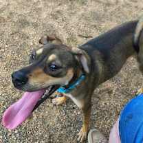 Thumbnail photo of John Boy #3