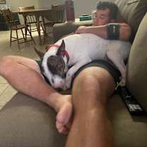 Thumbnail photo of Bolo #4