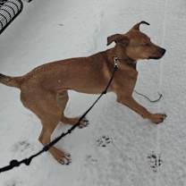 Thumbnail photo of Ampere #2