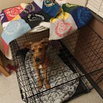 Thumbnail photo of Ampere #3