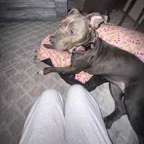 Thumbnail photo of Peppa #3