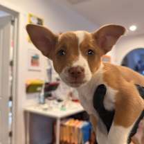 Thumbnail photo of Ixa #4