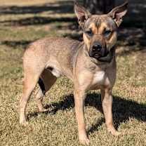 Thumbnail photo of Buck Rogers #1