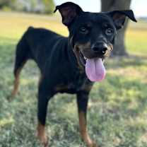 Thumbnail photo of Zelda #2