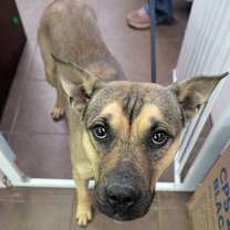 Thumbnail photo of Buck Rogers #3