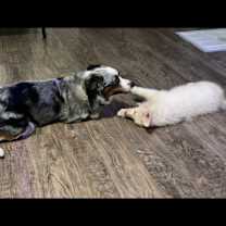 Thumbnail photo of Luna #2