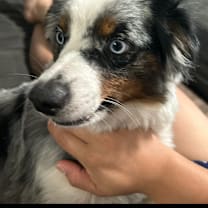 Thumbnail photo of Blue #3