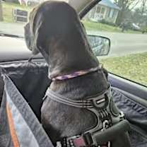 Thumbnail photo of Beauty #2