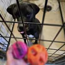 Thumbnail photo of Beauty #4