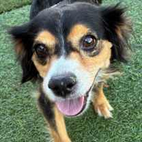 Thumbnail photo of Mia #2