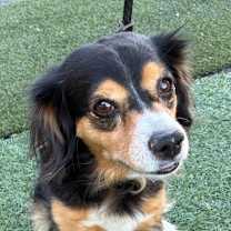 Thumbnail photo of Mia #3