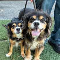 Thumbnail photo of Mia #4