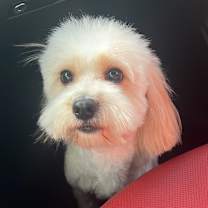 Thumbnail photo of Ace #3