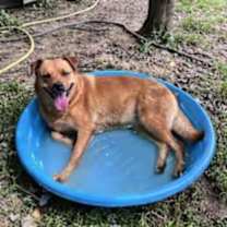 Thumbnail photo of Serena #2