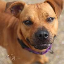 Thumbnail photo of Lois #2