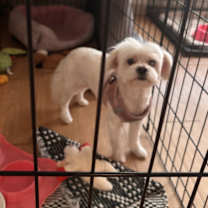 Thumbnail photo of Barbie #2