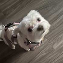 Thumbnail photo of Barbie #4