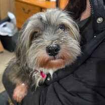 Thumbnail photo of Autumn 10A- 14710 #1