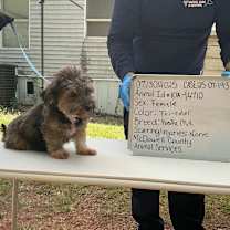 Thumbnail photo of Autumn 10A- 14710 #2