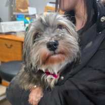 Thumbnail photo of Autumn 10A- 14710 #3