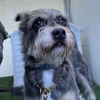 Thumbnail photo of Snickers #1