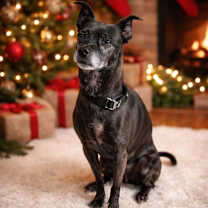 Thumbnail photo of Cooper #2