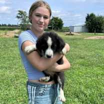 Thumbnail photo of Ponyo #2