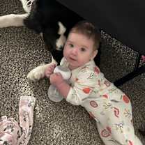 Thumbnail photo of Ponyo #3