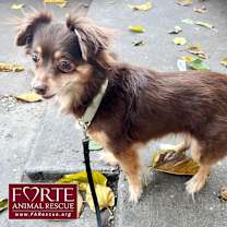 Thumbnail photo of Pancha #2