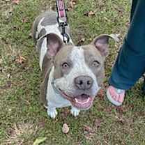 Thumbnail photo of Ducky #2